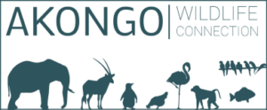 logo-akongo